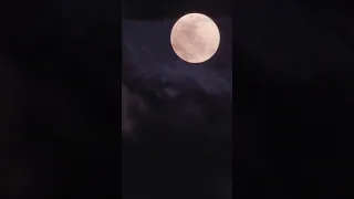 Full Moon Timelapse Maui Hawaii (vertical video) #Shorts. Night Timelapse Moody Clouds + Rising Moon