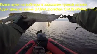 Ловля щуки на воблеры в заросшем травой заливе. Один день из жизни DAIWA morethan CROSSWAKE F 140.