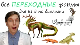 Все ПЕРЕХОДНЫЕ 🐱 формы для ЕГЭ по биологии🐰