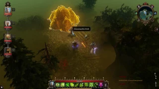 Divinity Original Sin Enhanced Edition EXPLORING the Phantom Forest Part 125 Walkthrough