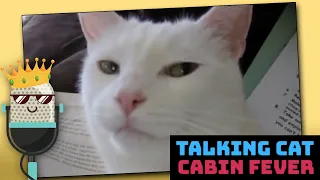 Talking Cat: Cabin Fever