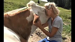 A fulfilled life on the alpine pasture