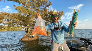 Baiting Trees for $500 CATFISH on DRAINING LAKE -- Catch, Clean and Cook!!!  (Surprise Catch!)