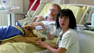 Rencontre avec Squeeze, un chien qui travaille à l'hôpital de Blois