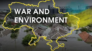 How can Ukrainians protect the environment during wartime? Ukraine in Flames #618