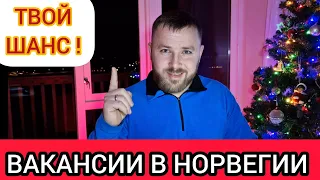 ✅️ Работа в Норвегии / Это Ваш Шанс