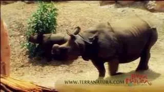 Терра Натура (Terra Natura) Природно-тематический парк в Бенидорме, Коста Бланка,Испания