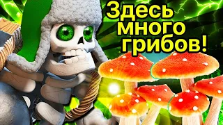 10 уровень против фуллов! Прокачка не решает? / Clash Royale