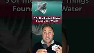 3 OF THE SCARIEST THINGS FOUND UNDER WATER