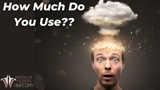 How Much of Your Brain Do You Actually Use?