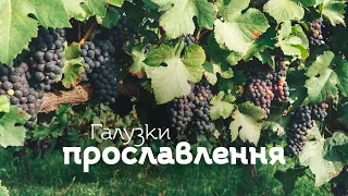 Галузки прославлення