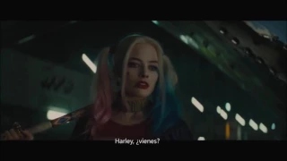 Harley's suicide squad annoys team(Escuadrón suicida harley molesta al equipo subtitulado)