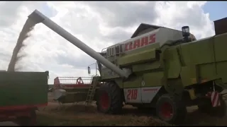 CLAAS Mega 218 Mähdrescher combine harvester | modern agriculture grain harvest 2022 in Germany