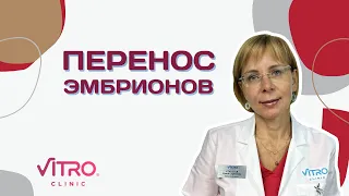 Перенос эмбрионов (ЭКО)
