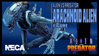 NECA Alien Vs Predator Arachnoid Alien | Video Review #HORROR