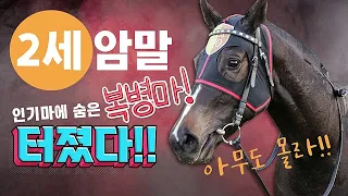 [경마] "2세 최강 암말 선발전" 숨은 복병마🏇✨를 찾아라!