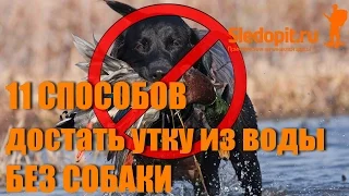 11 способов как достать утку из воды без собаки