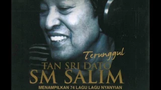 SM Salim - Pantun Budi (Official Audio Video)
