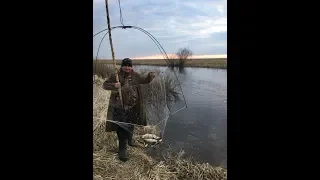 Рыбалка на подъёмник, паук на реке Рыба кишит и плавает под ногами.