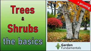 Trees & Shrubs - how to select, buy and plant 🍁🌿🌲 Bonus: Mini Pruning Course