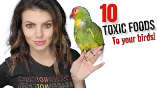 10 Foods that are POISONOUS to Birds! ⚠️  Foods TOXIC to Parrots! 🦜