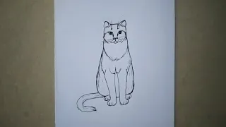 How to draw a cat step by step || easy drawing  ||drawing animal