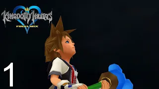 KH FM [Proud Mode] LV 100 Perfect Walkthrough Part 1 Beginning Options