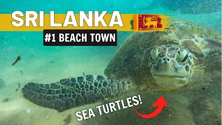 Warum Hikkaduwa unsere Lieblingsstrandstadt in Sri Lanka ist!