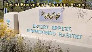 🌺Hummingbird Habitat at Desert Breeze Park in Chandler, Arizona🌵