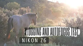 Nikon Z6 Vlog and Video Autofocus Test