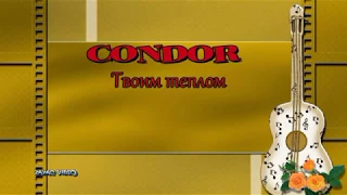 Алексей Фролов гр. Condor Твоим теплом