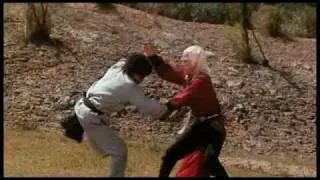 die 18 todesschläge der shaolin Final Fight