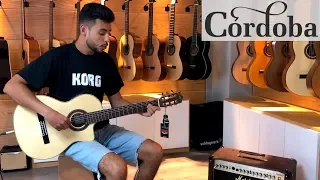 Test Cordoba GK Studio Negra - Rock.ma