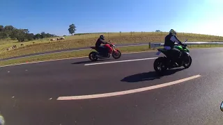 Z1000 vs CBR 600RR