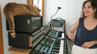 COLLEEN "NIGHT LOOPING - MOVEMENT II" - MOOG GRANDMOTHER AND MF-104M DELAY - FEATURING SOL THE CAT