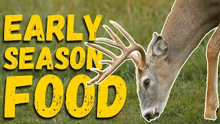 Identifying EARLY SEASON FOOD Sources