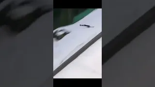 Ski Jumping Pro Ryoyu Kobayashi Has An Insane Landing🤯
