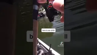 No More Fish - Karen Vs Fisherman