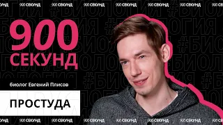 Что происходит с телом, когда мы заболеваем простудой? — за 900 секунд