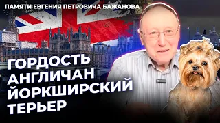 Графство Йоркшир |  Йоркширский терьер | Великобритания | Беседа 35