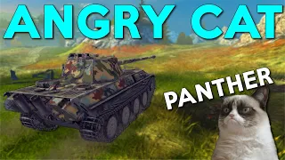 WOTB | THIS IS ONE ANGRY CAT!