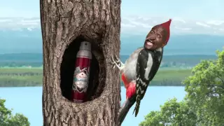 Old Spice Leña! Wolfthorn!