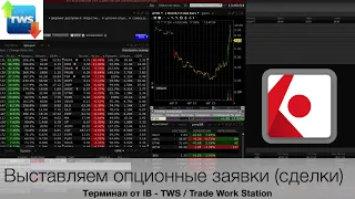 Выставляем опционные заявки в платформе Trade Work Station (TWS) от IB | TIL Group