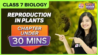Reproduction in Plants | Chapter Summary under 30 mins | Class 7 Science