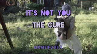 The Cure - It's not you lyrics&sub