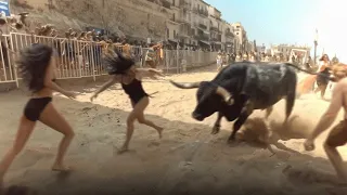 100 Momentos de Animais mais Loucos Capturados pela Câmera