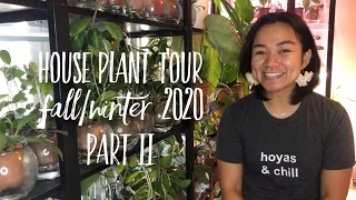 Hoya houseplant tour part 2 | 150+ indoor plant collection