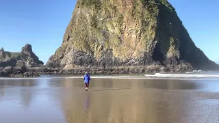 Haystack Rock Sneaker Wave gets us both