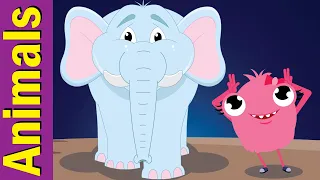 Animals Actions Song | Movement Song for Children | Fun Kids English