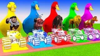 5 Giant Duck Monkey, Piglet, Kangaroo, dog, elephant, cow, Sheep, Transfiguration funny animal 2024